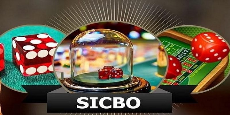 Luật chơi Sicbo online được diễn ra như thế nào?